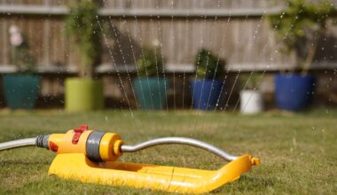 Nationwide hosepipe ban: What is allowed? Who is exempt? – The Irish Times