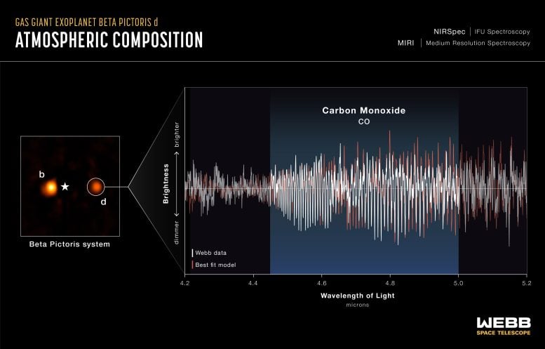 Beta Pictoris D Atmospheric Composition Spectrum
