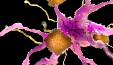 A Drug Already Proven Safe in Humans Just Reduced Multiple Signs of Alzheimer's in Mice : ScienceAlert
