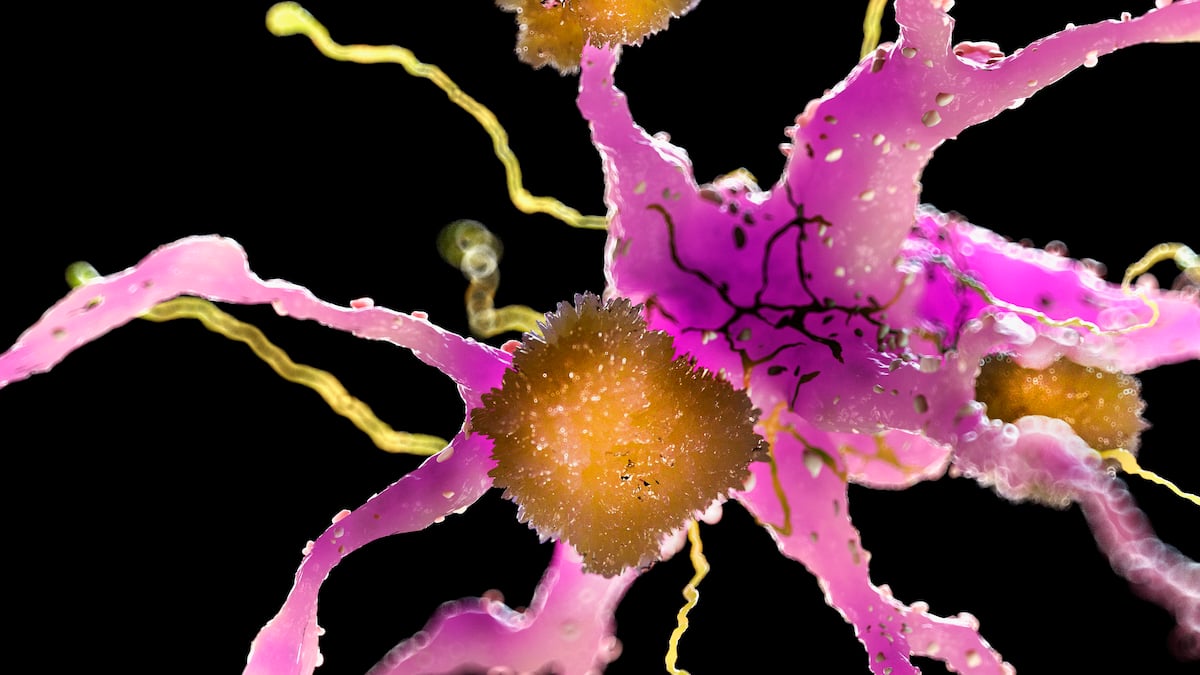 A Drug Already Proven Safe in Humans Just Reduced Multiple Signs of Alzheimer's in Mice : ScienceAlert