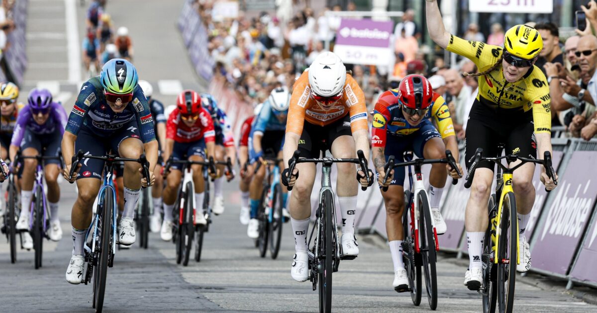 Team Visma | Lease a Bike