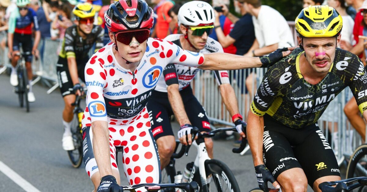 Lease a Bike heads into demanding Tour de France weekend… - Team Visma