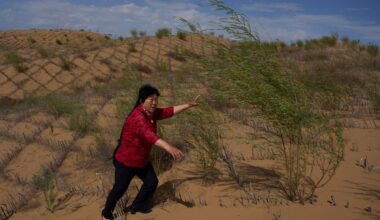 China’s ‘Green Great Wall’: Scientists issue new warning despite 50 years of work to tame desert growth