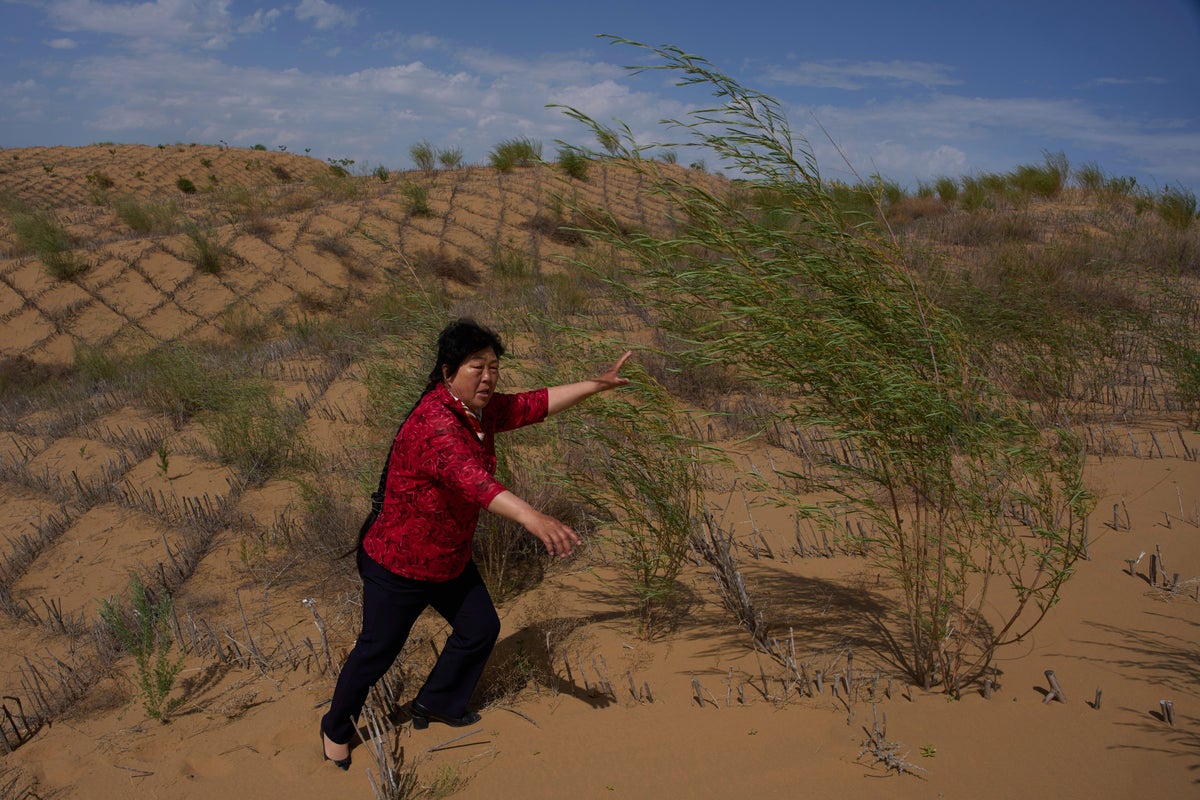 China’s ‘Green Great Wall’: Scientists issue new warning despite 50 years of work to tame desert growth