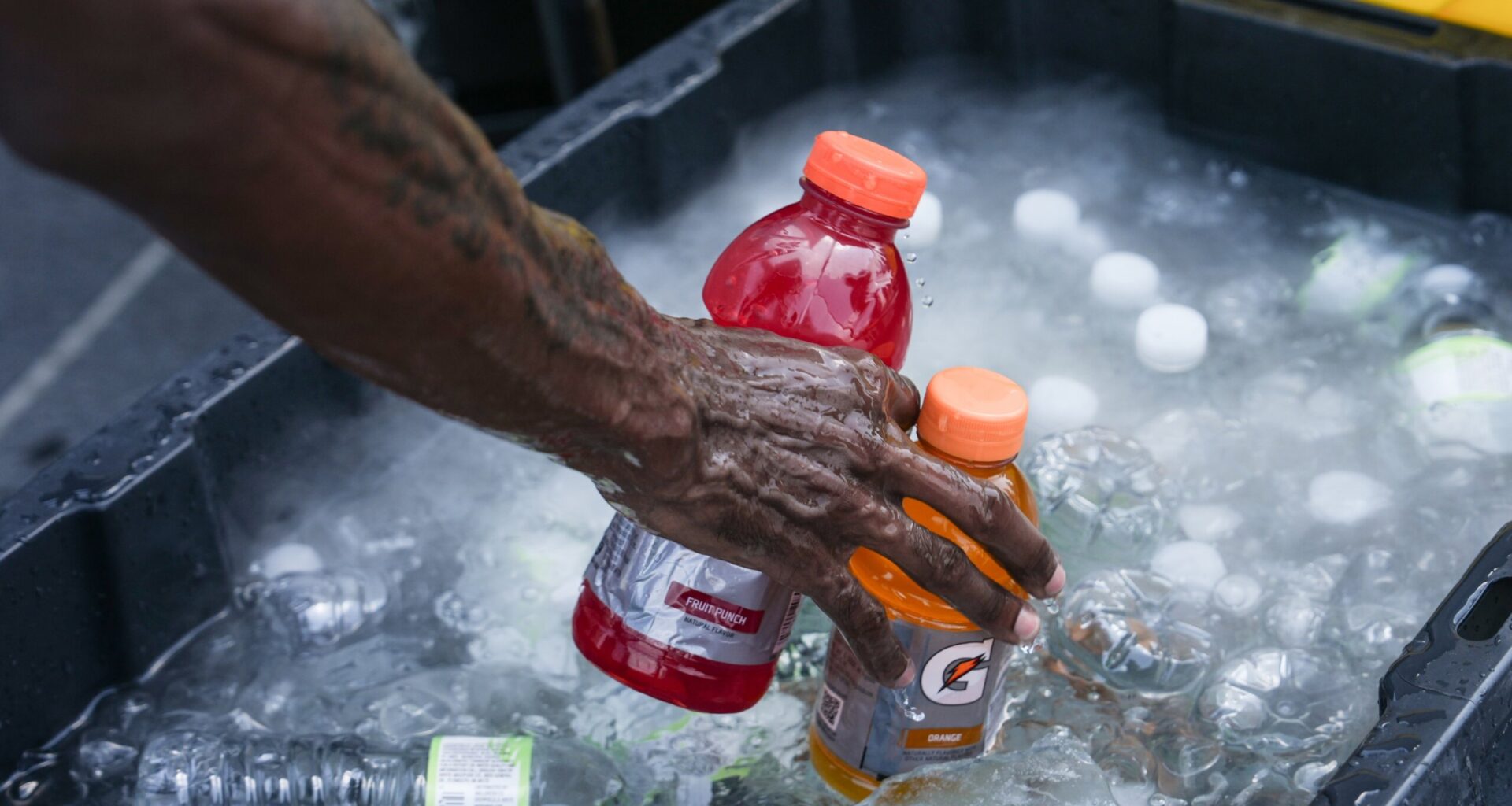 What should you drink for everyday hydration?