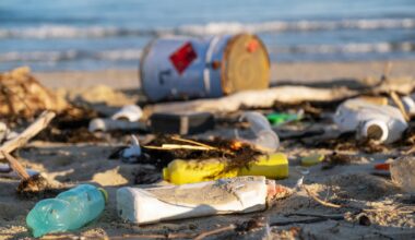 Coastal Pollution Scene Beach Trash