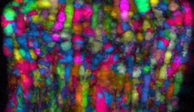 Cobalt Aluminum Intermetallic Crystal Structure