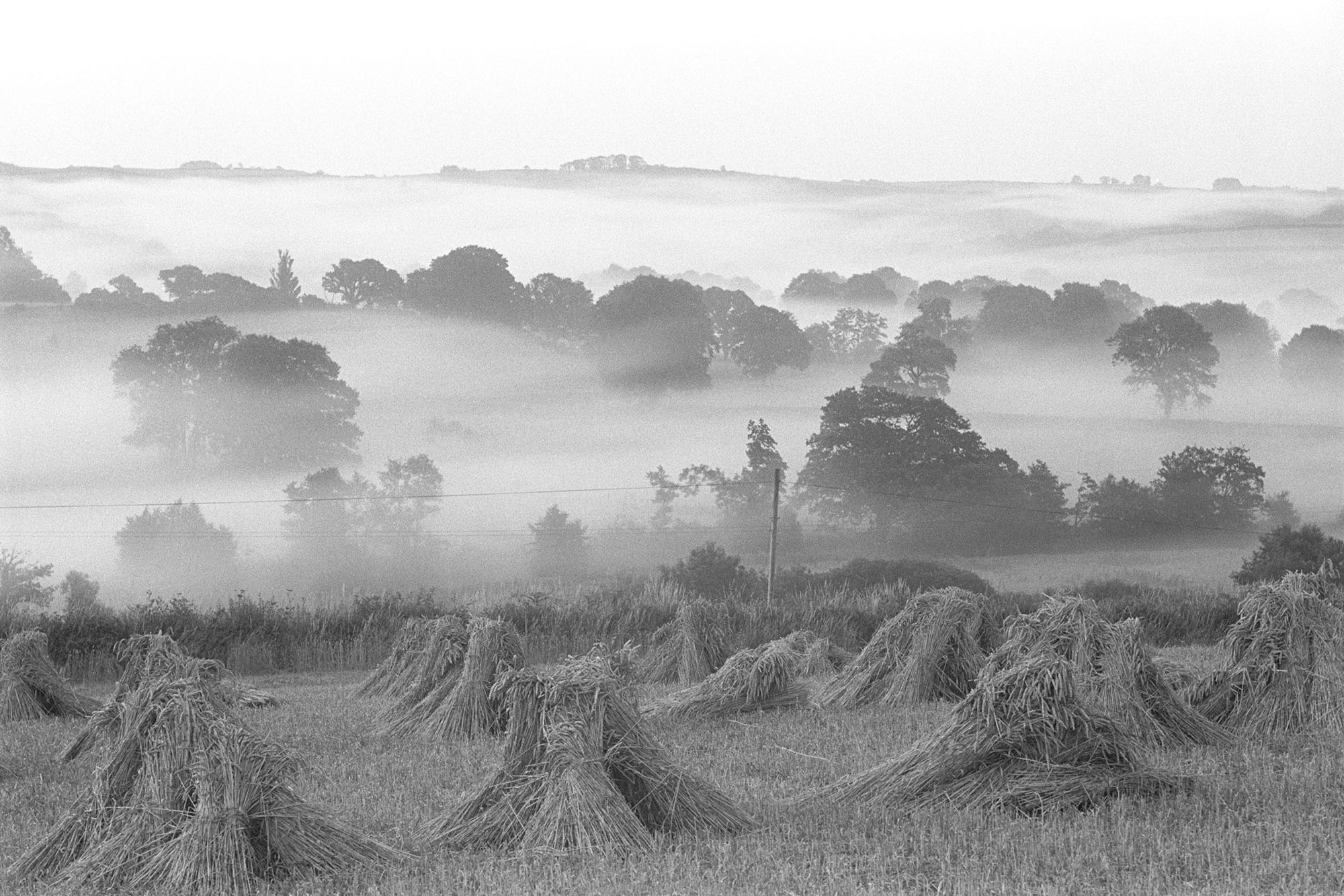 A black and white photograph captures a tranquil rural landscape where thick morning mist blankeys a valley of scattered trees, with stacks of harvested wheat drying in the foreground field.
