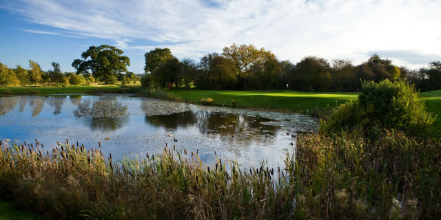 Belton Woods