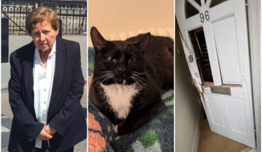 Top ex-lawyer, 79, sues Met Police and RSPCA after door 'chopped down with axe' at London home to seize cat