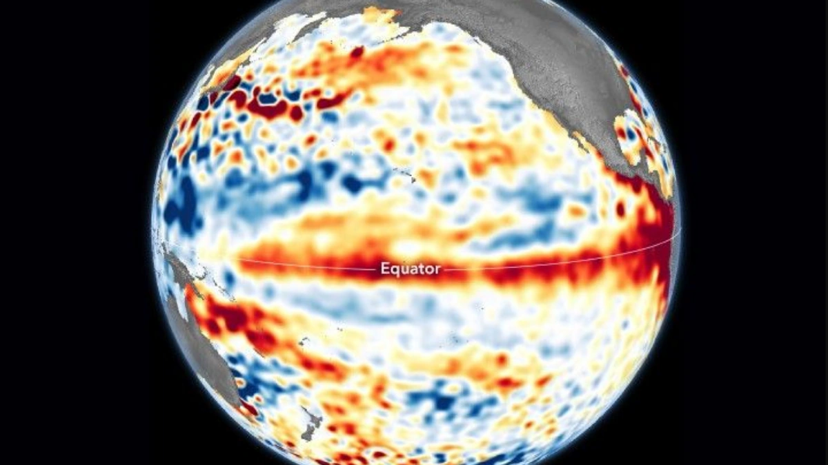 Water expands as it warms, causing the surface of the ocean to rise. Higher-than-usual sea surfaces in the tropical Pacific Ocean, shown here from June 1--10, 2023, are a signature of El Niño. Credit: NASA Earth Observatory image by Lauren Dauphin, using modified Copernicus Sentinel data (2023) processed by the European Space Agency and further processed by Josh Willis, Severin Fournier, and Kevin Marlis (NASA/JPL-Caltech).