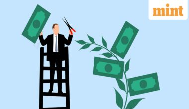 EPFO contributions evolve: Is it still lucrative investment as EPF rules, Labour Codes change? Experts explain the math