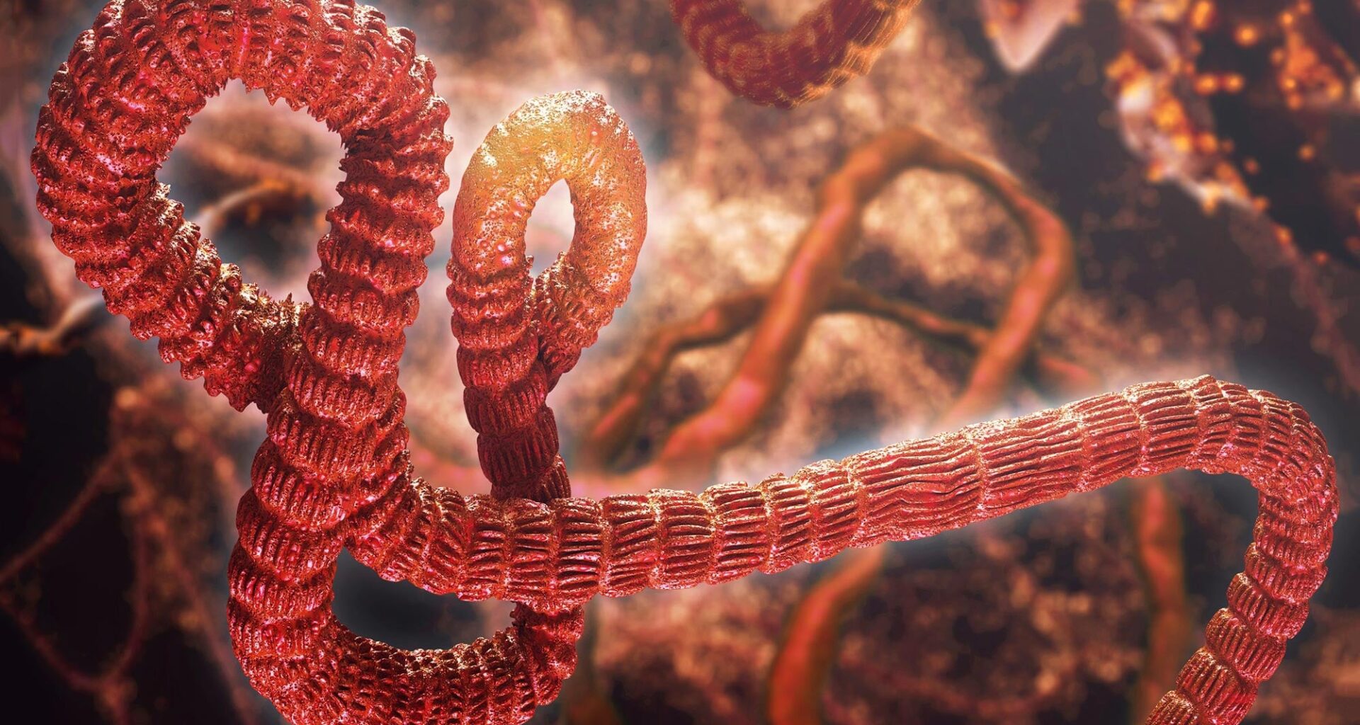 Ebola Virus Artist