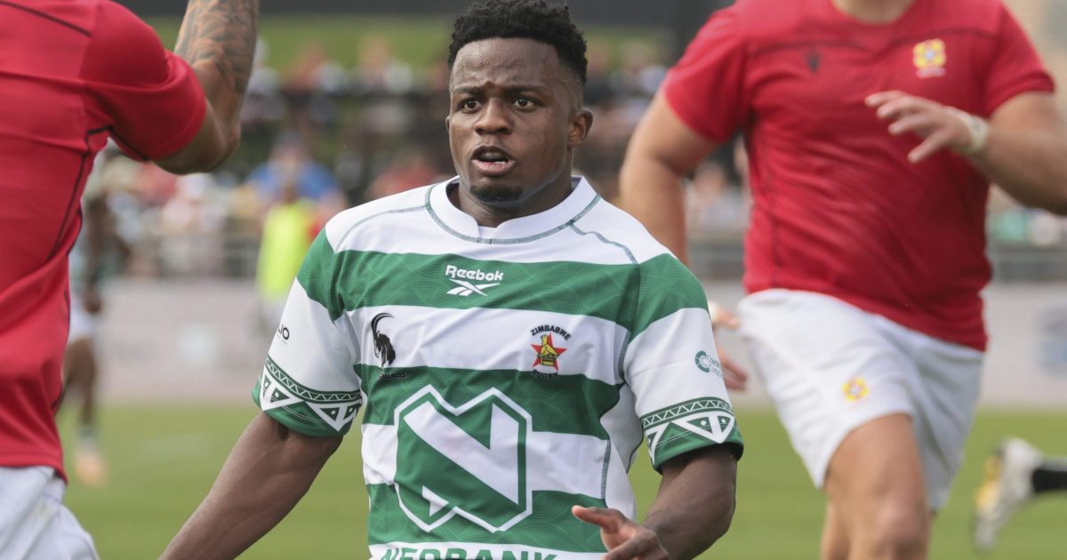 The Zimbabwe star pro clubs should be fighting over, according to Ian Prior