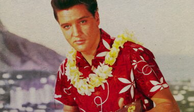 Who played guitar on the Elvis Presley classic 'Hound Dog'?