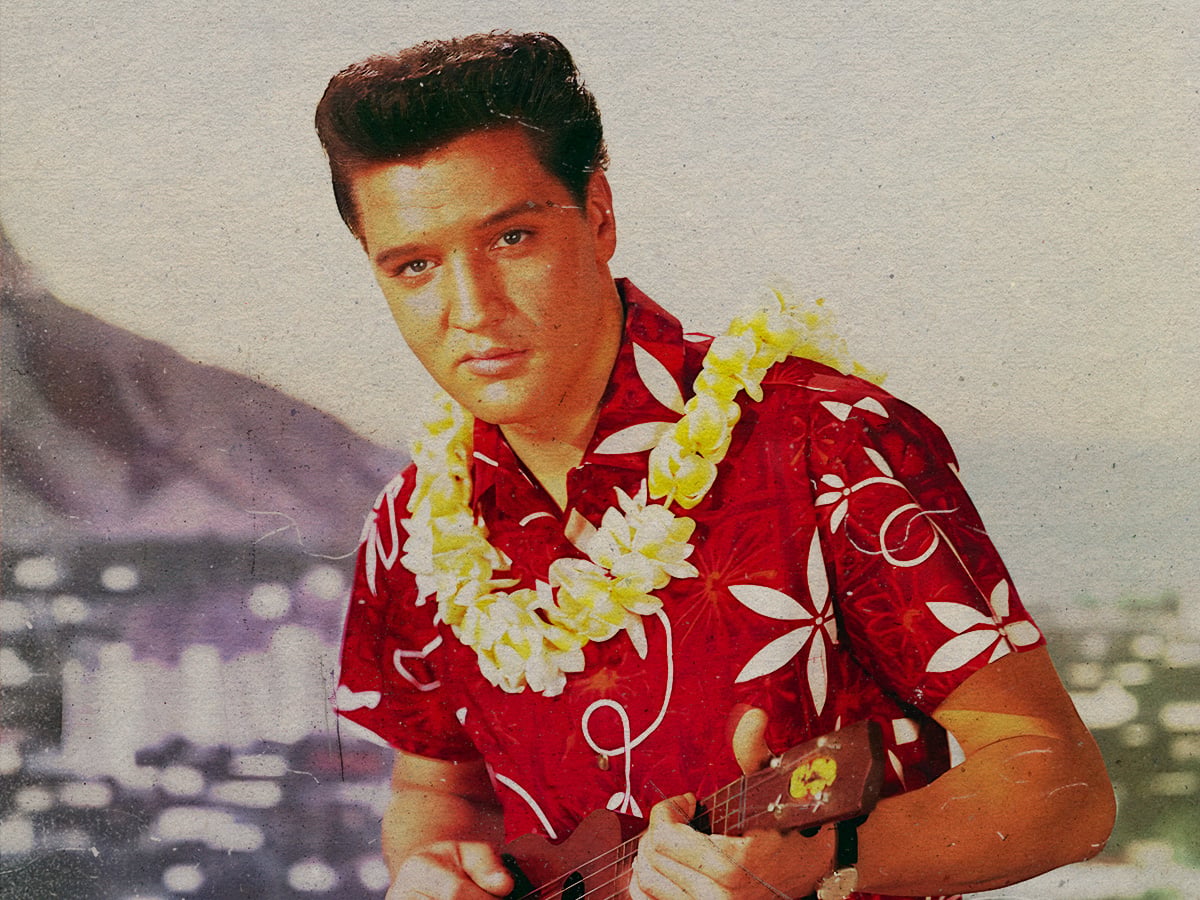Who played guitar on the Elvis Presley classic 'Hound Dog'?