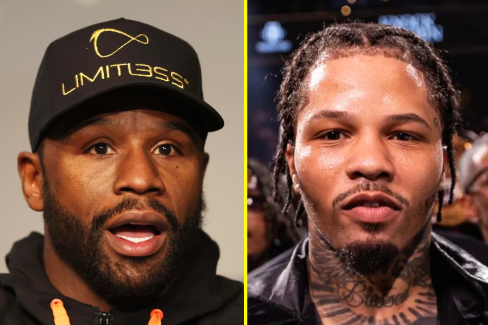 Mayweather [left] and Davis [right]