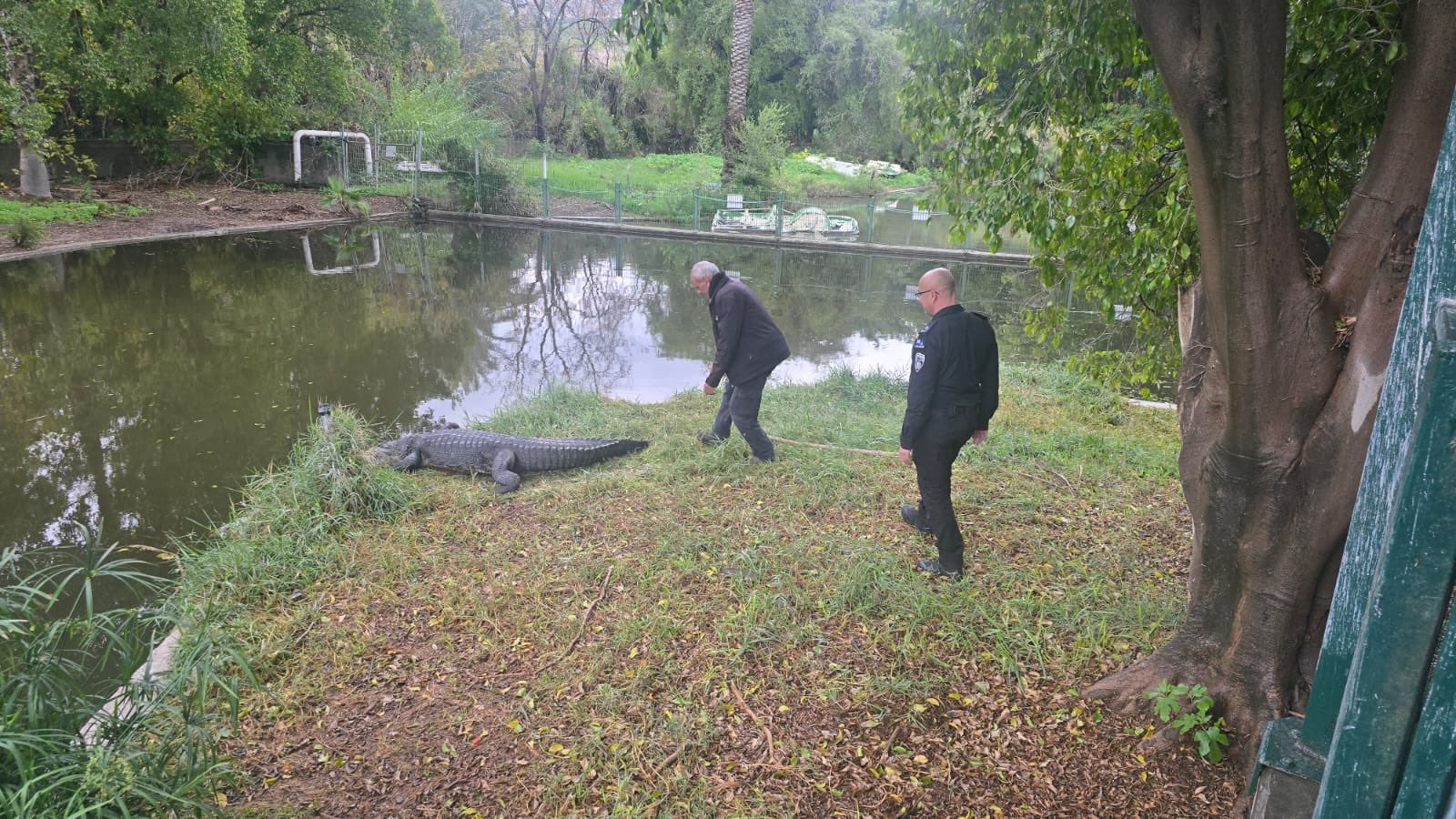Minister snubs legal adviser, advancing Ben Gvir's plan to surround prisons with crocodiles