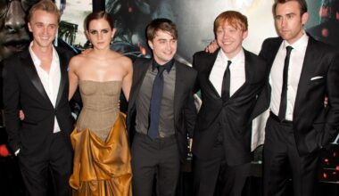 Six issues in Harry Potter still don't add up 15 years after final film