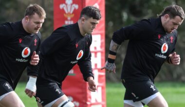 Wales fly in reinforcements ahead of daunting Springboks challenge