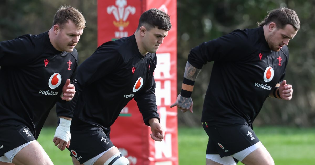 Wales fly in reinforcements ahead of daunting Springboks challenge