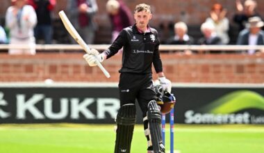Captain's innings from Lewis as Somerset brush Warwickshire aside