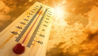 Scorching May: Portugal expects higher temperatures