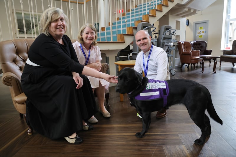 Tori with St Luke's general manager Jennifer Carey, palliative care consultant Dr Maeve O'Reilly and senior psychologist Dr David Shannon. Photograph: Bryan O'Brien