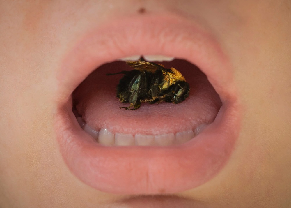 JillianBrowning_Student_HarperNichols_BeeInMouth