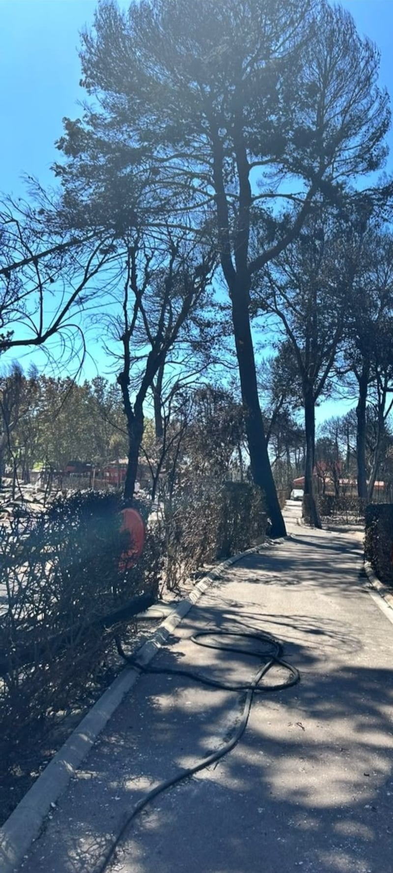 The walkway after the fire. Photograph: Orlaith Darcy