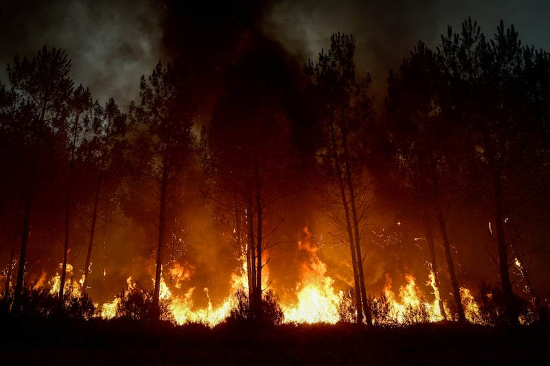 A forest fire rages in Saint-Jean-d'Illac, some 30km from Bordeaux, on Sunday. Photograph: Getty Images