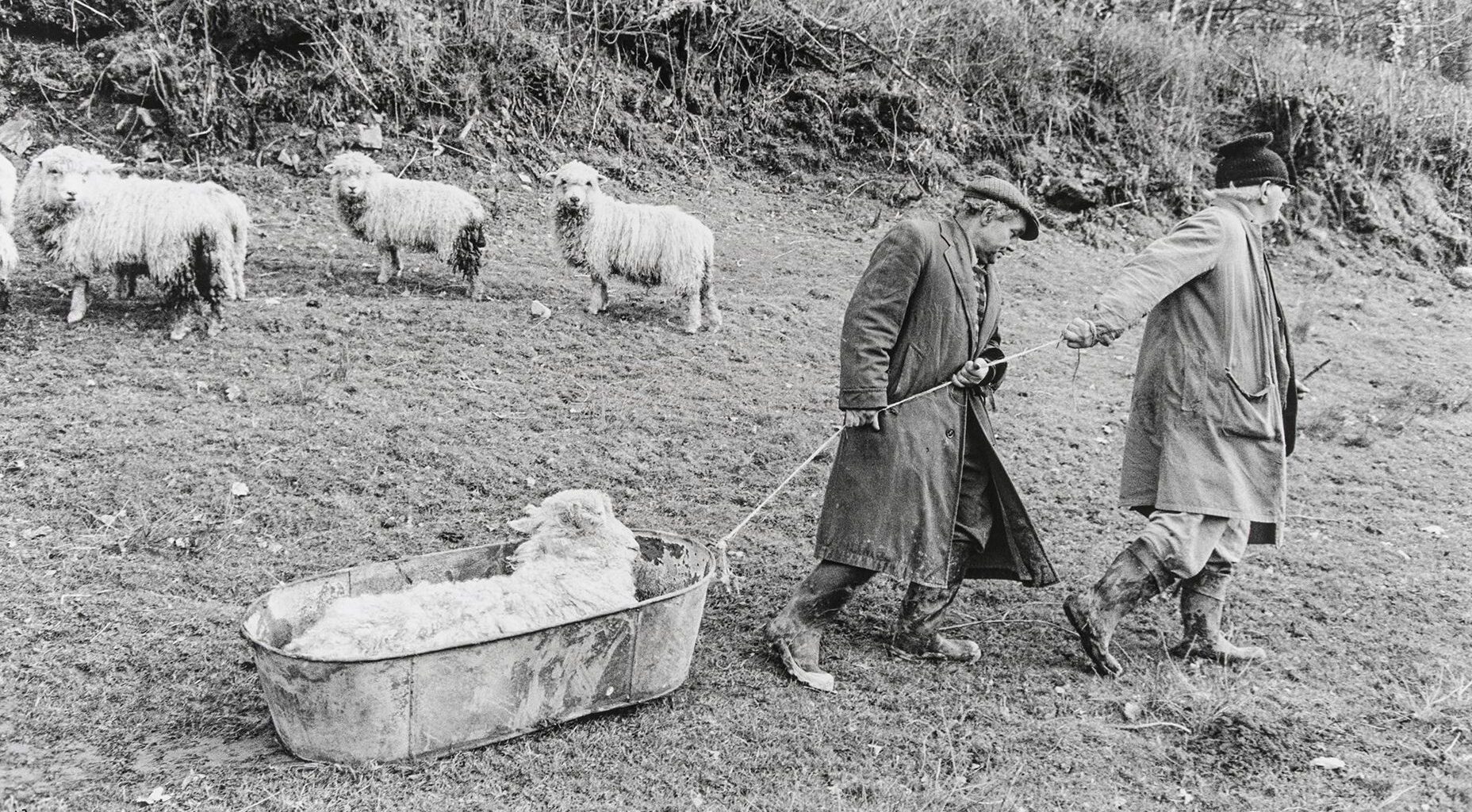 James Ravilious and Chris Chapman spent 50 years photographing farms, weddings and village halls in the same corner of rural England – yet neither ever saw the other as competition