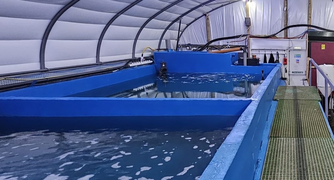 Large tanks in polytunnel building