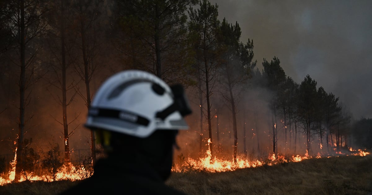 France and Spain face further danger from new heatwave amid devastating wildfires – The Irish Times