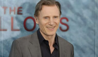 The actor Liam Neeson crowned America’s greatest movie star