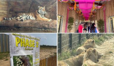 Wingham Wildlife Park’s new £2.5m enclosure opens