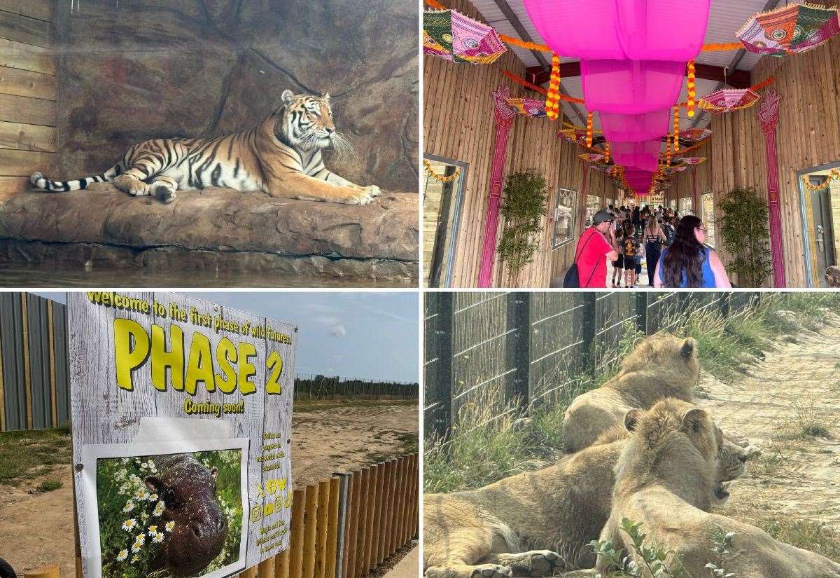 Wingham Wildlife Park’s new £2.5m enclosure opens