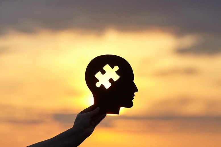 Man Brain Puzzle Missing Pieces Dementia Sunset