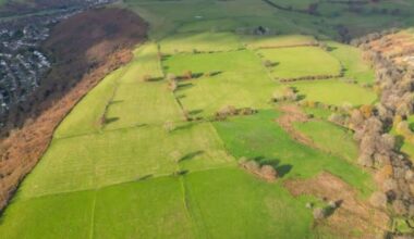 Plaid Cymru slam Council's solar farm sell-off