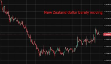 NZ consumer confidence rebounds as inflation expectations reset lower