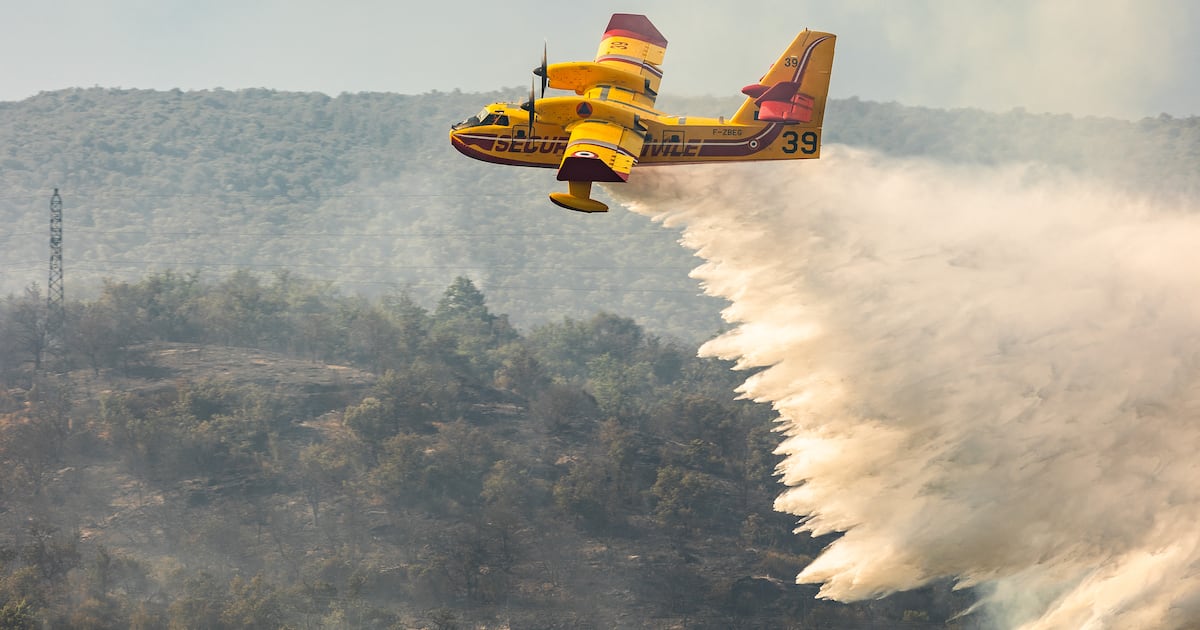 Irish holidaymakers leave belongings and flee French wildfires – The Irish Times