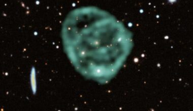 Odd radio circles: giant unexplained space rings