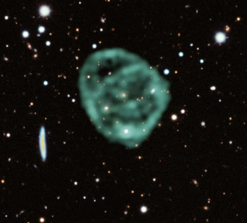 Odd radio circles: giant unexplained space rings