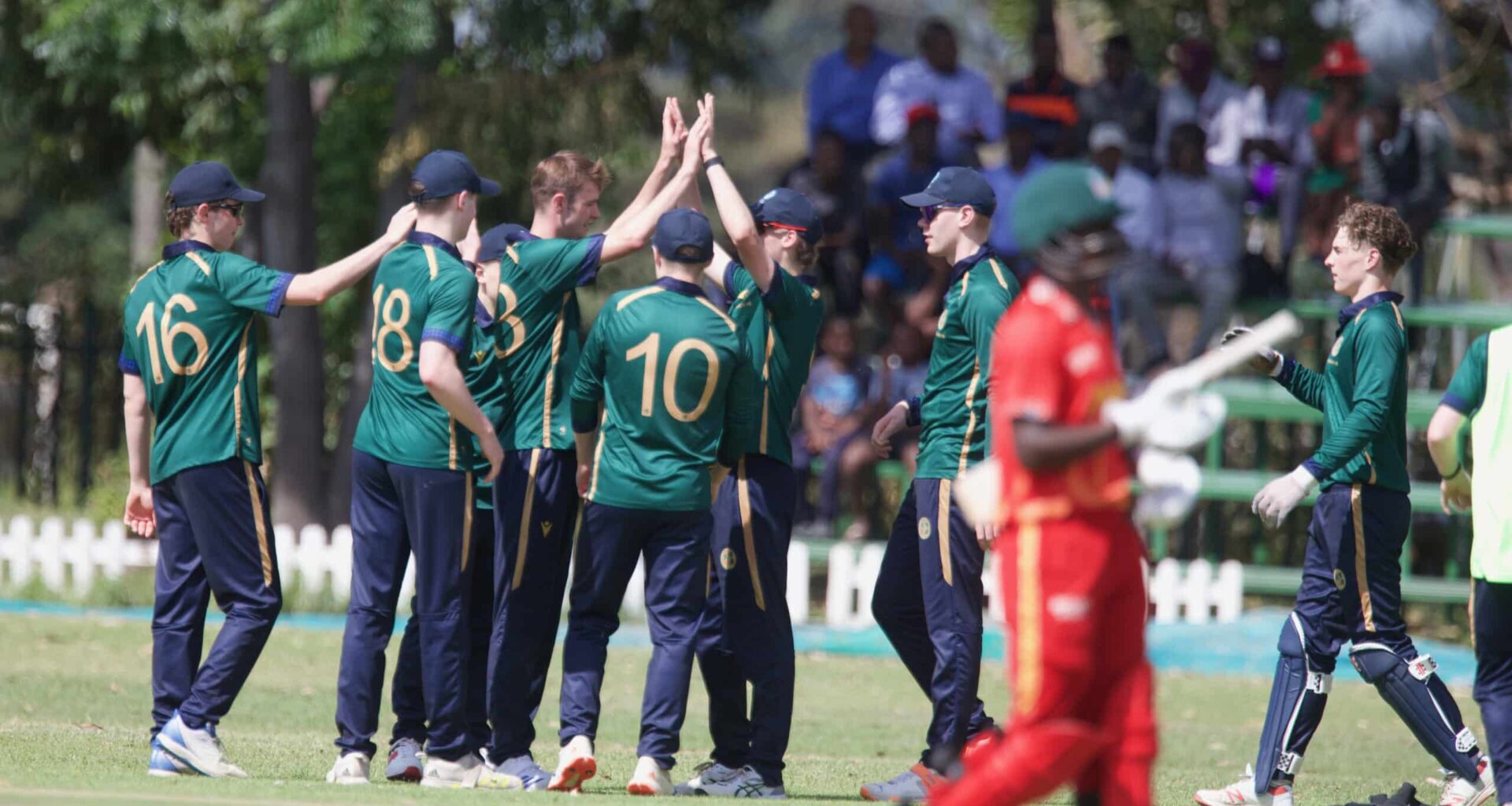 Ireland Under-19s celebrate