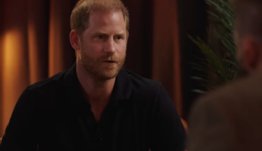Prince Harry reveals full royal name while listing ‘Prince of England’ as job - The Independent