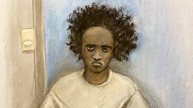 Court artist sketch by Elizabeth Cook of Southport stabbings suspect Axel Rudakubana, 18, appearing via videolink during a preparatory hearing at Liverpool Crown Court. Picture date: Wednesday December 18, 2024. PA Photo. Rudakubana is accused of three counts of murder, 10 attempted murders and possession of a knife after a stabbing attack on a Taylor Swift-themed children's holiday club class in Southport, Merseyside on July 29, 2024. See PA story COURTS Southport. Photo credit should read: Elizabeth Cook/PA Wire