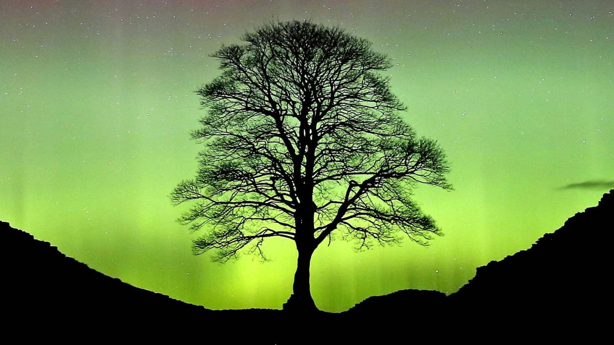 File photo dated 07/03/16 of the Northern Lights, or Aurora Borealis, shining over the Sycamore Gap at Hadrian's Wall in Northumberland. A section of the Sycamore Gap tree which was illegally felled is to go on public display, with visitors encouraged to touch or even hug its trunk. Artist Charlie Whinney has been commissioned to create an artwork in tribute to the much-loved tree which stood beside Hadrian's Wall and was a symbol of Northumberland, a place for family memories and a beautiful link to the natural world. Issue date: Thursday July 10, 2025. PA Photo. A 6ft section of the trunk was preserved after it was chopped down in the middle of the night in September 2023, and almost two years later it has been made into a striking installation. Photo credit should read: Owen Humphreys/PA Wire