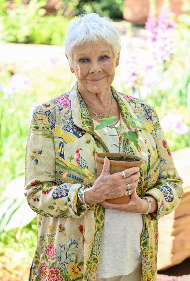 LONDON, ENGLAND - MAY 20: Dame Judi Dench attends The RHS Chelsea Flower Show at Royal Hospital Chelsea on May 20, 2024 in London, England. All the main garden categories return to the Royal Hospital Chelsea this year. The Show Gardens along Main Avenue, Sanctuary and Feature Gardens explore themes through horticulture, while the All About Plants area in the Floral Marquee focuses on planting. This year is billed as the most sustainable to date. (Photo by Jeff Spicer/Getty Images)