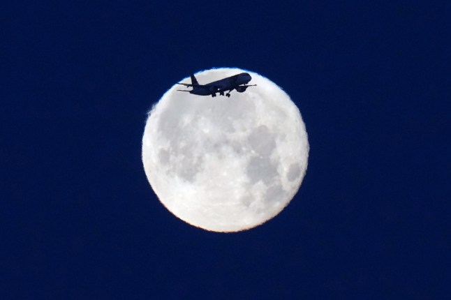 A TAP Air Portugal airplane, with the full moon in the background, lowers its landing gear when approaching for landing in Lisbon before sunrise, Monday, June 1, 2026. (AP Photo/Armando Franca)