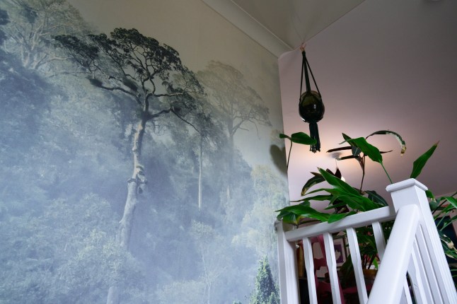 Interior designer Evelyn Lindley inside her one-bedroom flat in Marden, Kent.